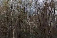 Property for sale in East Baton Rouge Parish, Louisiana