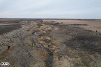 Hunting Land in Ellis County, Oklahoma
