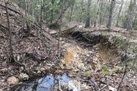 Undeveloped Land in Fulton County, Arkansas