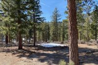 Farm Property for sale in Douglas County, Nevada