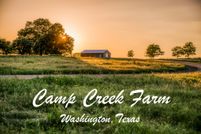 Residential Property in Washington County, Texas