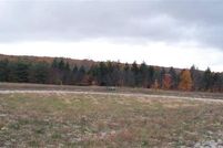 Undeveloped Land for sale in Emmet County, Michigan