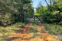 Timberland Property in Smith County, Texas