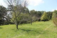 Undeveloped Land in Jackson County, Kentucky