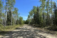 Undeveloped Land for sale in Southeast Fairbanks Borough, Alaska