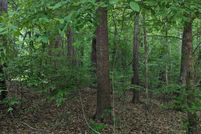 Undeveloped Land for sale in Edgefield County, South Carolina
