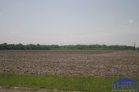 Undeveloped Land for sale in Vigo County, Indiana