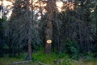 Property for sale in Colfax County, New Mexico