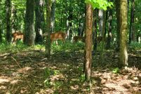 Recreational Property for sale in Cumberland County, Tennessee