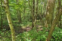 Property for sale in Swain County, North Carolina