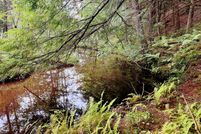 Ranch Property in Saint Lawrence County, New York