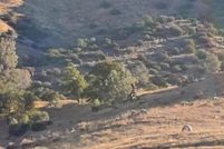 Property for sale in Kern County, California