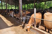 Commercial Property in Alachua County, Florida