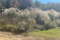 Undeveloped Land for sale in Accomack County, Virginia