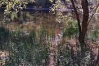 Property for sale in Washington County, Virginia