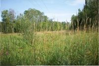 Property in Cass County, Minnesota
