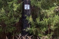 Property for sale in Lonoke County, Arkansas