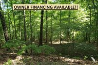 Undeveloped Land for sale in Fulton County, Arkansas