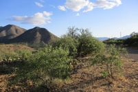 Undeveloped Land for sale in Santa Cruz County, Arizona