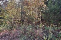 Property for sale in Madison County, Alabama