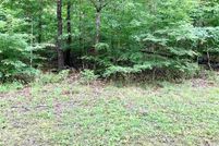 Undeveloped Land for sale in DeKalb County, Alabama