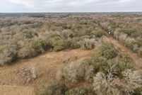 Timberland Property in Colorado County, Texas