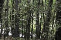 Property for sale in Talladega County, Alabama