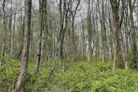 Property for sale in Monongalia County, West Virginia