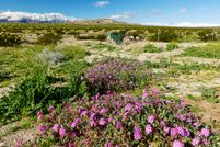 Farm Property in Riverside County, California