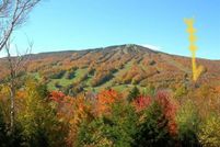 Property for sale in Windham County, Vermont