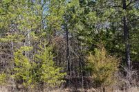 Undeveloped Land for sale in DeKalb County, Alabama