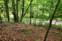 Undeveloped Land for sale in Towns County, Georgia