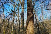 Property for sale in Jefferson County, Alabama