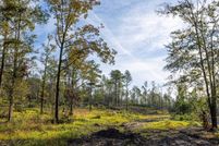 Farm Property for sale in Baldwin County, Alabama