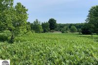 Undeveloped Land for sale in Wexford County, Michigan