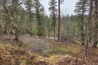 Undeveloped Land for sale in Nez Perce County, Idaho