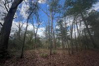 Undeveloped Land for sale in Northampton County, Virginia