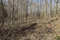 Undeveloped Land for sale in Sharp County, Arkansas