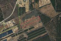 Undeveloped Land for sale in Harnett County, North Carolina