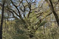 Property for sale in Charleston County, South Carolina