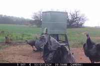 Property in Coleman County, Texas