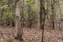 Property for sale in Hamilton County, Tennessee