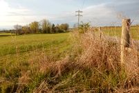 Undeveloped Land in Shelby County, Kentucky