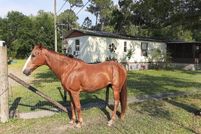 Farm Property for sale in Polk County, Florida