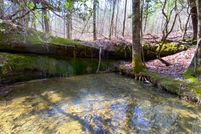 Property in Winston County, Alabama