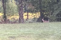 Property for sale in Lonoke County, Arkansas