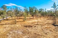 Property for sale in Calhoun County, Florida