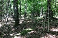 Property for sale in Randolph County, West Virginia