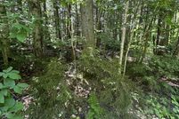 Undeveloped Land for sale in Windham County, Vermont