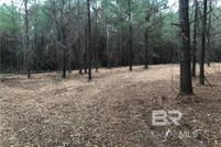 Undeveloped Land for sale in Mobile County, Alabama